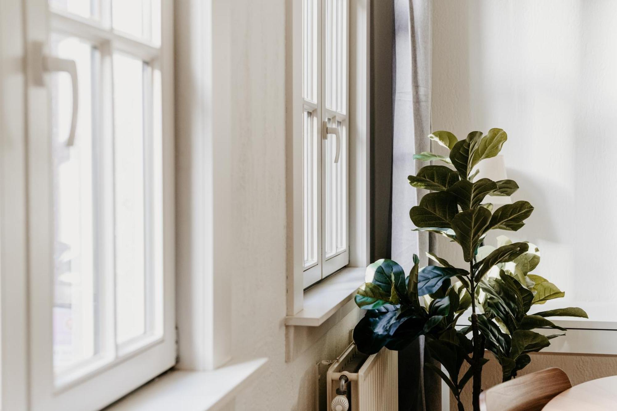 Cathedral View Apartment Антверпен Екстериор снимка